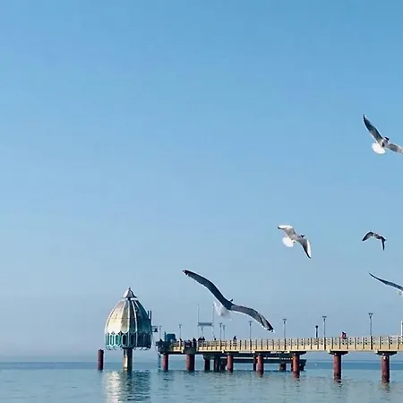 Adele Lejlighed Zingst Eksteriør billede